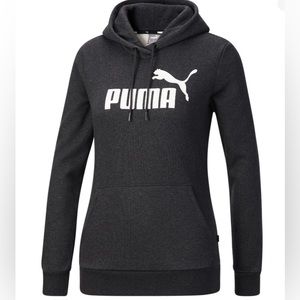 Gray Puma Hoodie